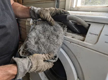 Cleaning Dryer Lint Trap service in Pooler, GA