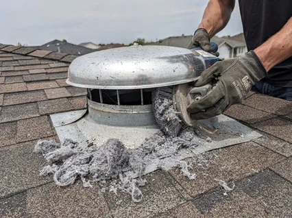 Cleaning Dryer Vent On Roof in Pooler